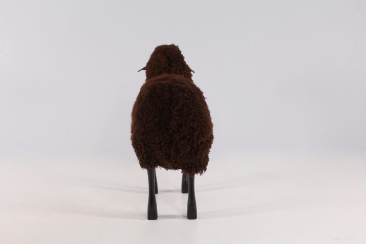 Grand mouton noir brun XL HAnns Peter Krafft IMG 9190