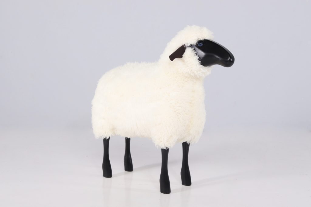 Grand Mouton Tête NoireIMG 0070