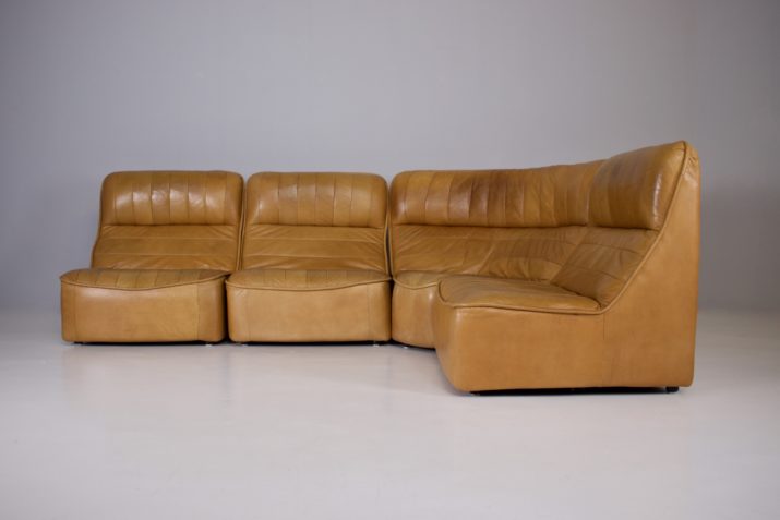 Canape Sofa Modulable Cuir Style De SedeIMG